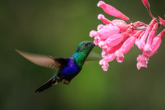 Cali Valle Del Cauca Colombia