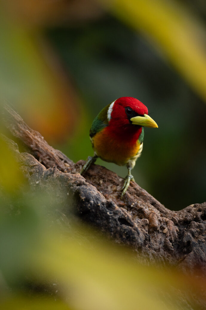 Cali Valle Del Cauca Colombia