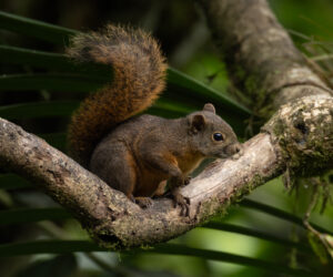Cali Valle Del Cauca Colombia