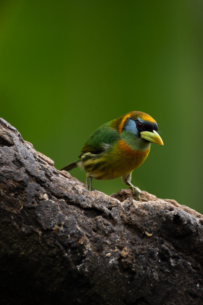 Cali Valle Del Cauca Colombia