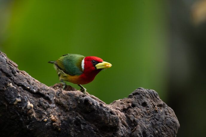 Cali Valle Del Cauca Colombia