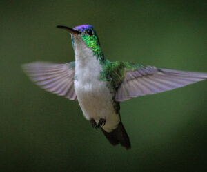 Cali Valle Del Cauca Colombia