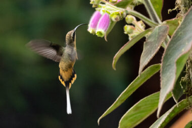 Cali Valle Del Cauca Colombia