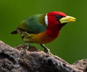 Cali Valle Del Cauca Colombia