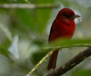 km18 Valle Del Cauca Colombia