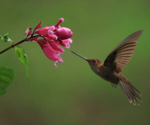 km18 Valle Del Cauca Colombia