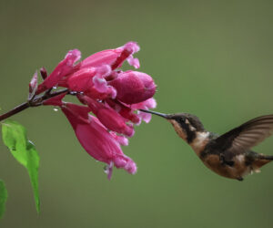km18 Valle Del Cauca Colombia