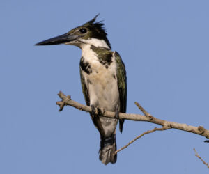 Mompox Bolivar Colombia