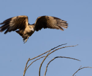 Mompox Bolivar Colombia