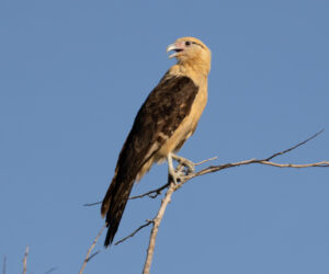 Mompox Bolivar Colombia