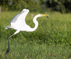 Mompox Bolivar Colombia