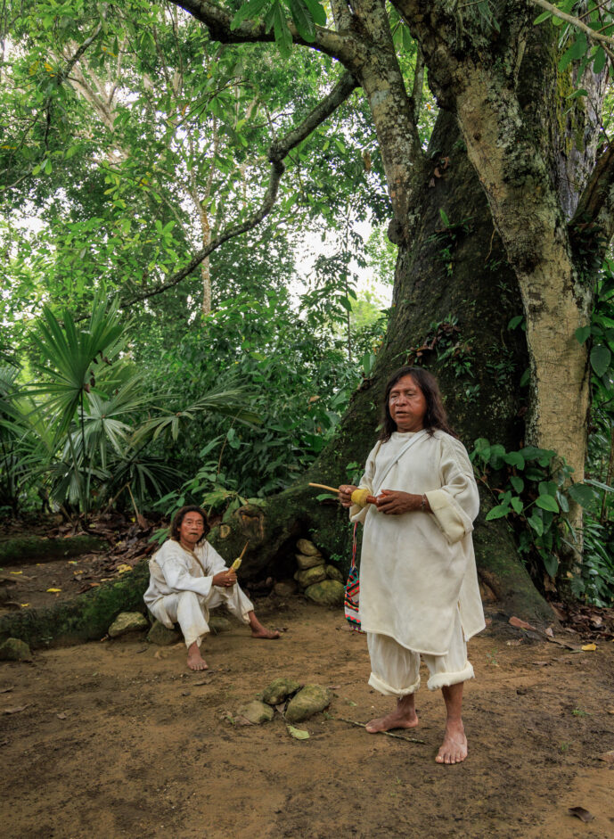 Mulkwakungui Magdalena Colombia