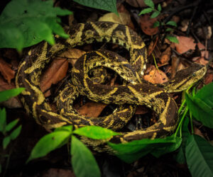 Parque Tayrona Magdalena Colombia