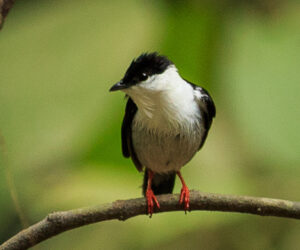 Parque Tayrona Magdalena Colombia