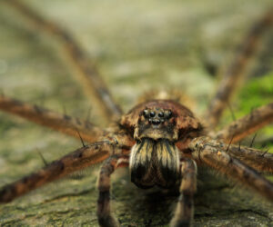 Parque Tayrona Magdalena Colombia