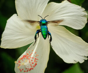 Quebrada Valencia Magdalena Colombia