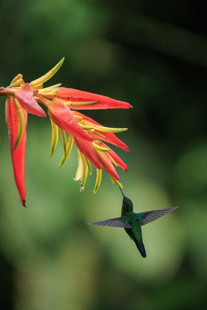 km18 Valle Del Cauca Colombia