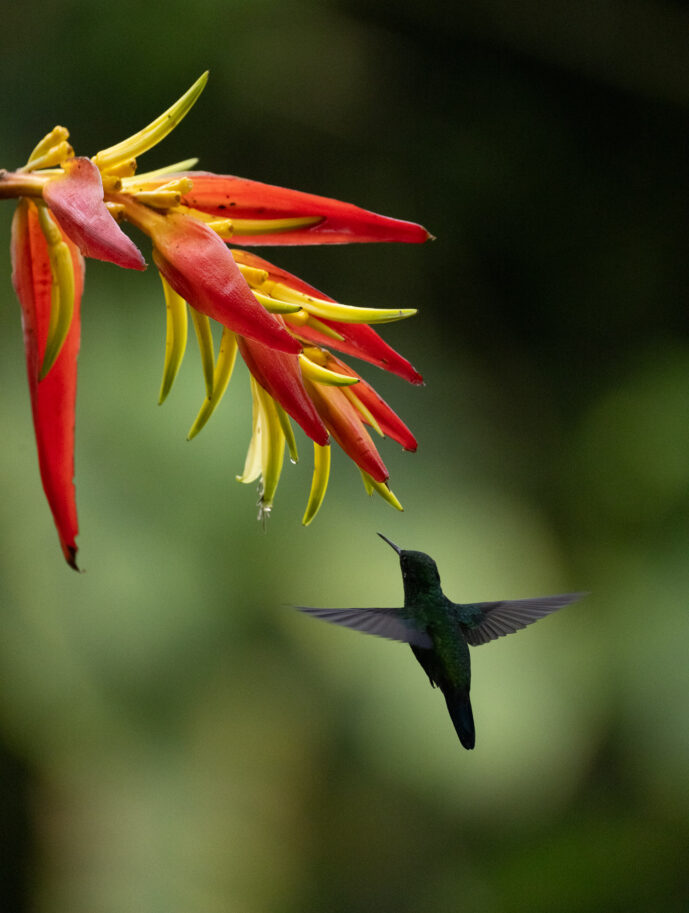 km18 Valle Del Cauca Colombia