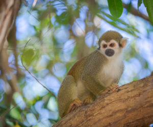 Islas San Bernardo Bolivar Colombia