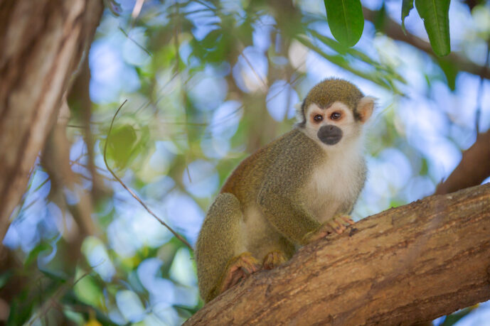 Islas San Bernardo Bolivar Colombia