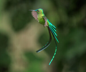 Cañon Del Combeima Tolima Colombia