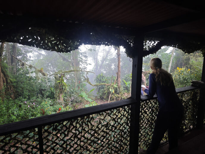  Valle Del Cauca Colombia