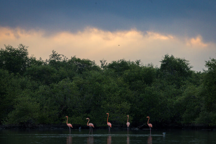 Boca de Camarones Guajira Colombia