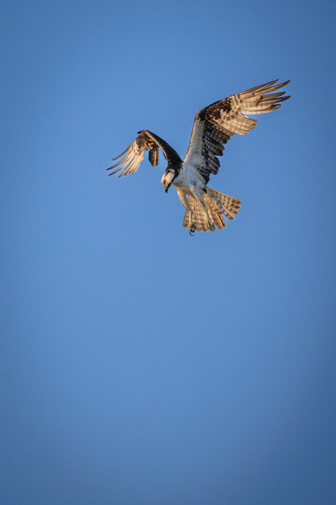 Boca de Camarones Guajira Colombia
