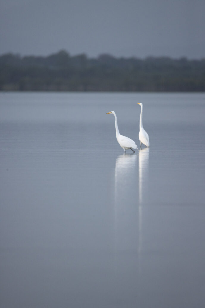 Boca de Camarones Guajira Colombia