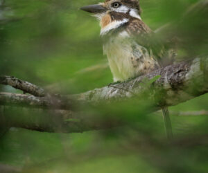 Boca de Camarones Guajira Colombia