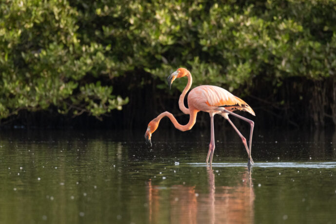 Boca de Camarones Guajira Colombia