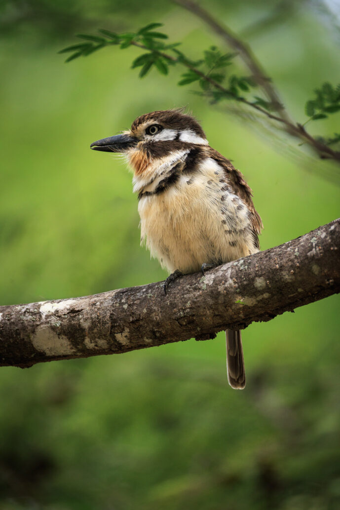 Boca de Camarones Guajira Colombia