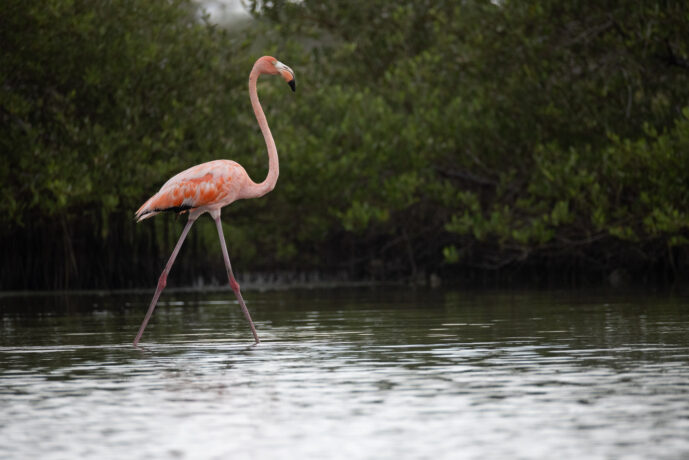 Boca de Camarones Guajira Colombia