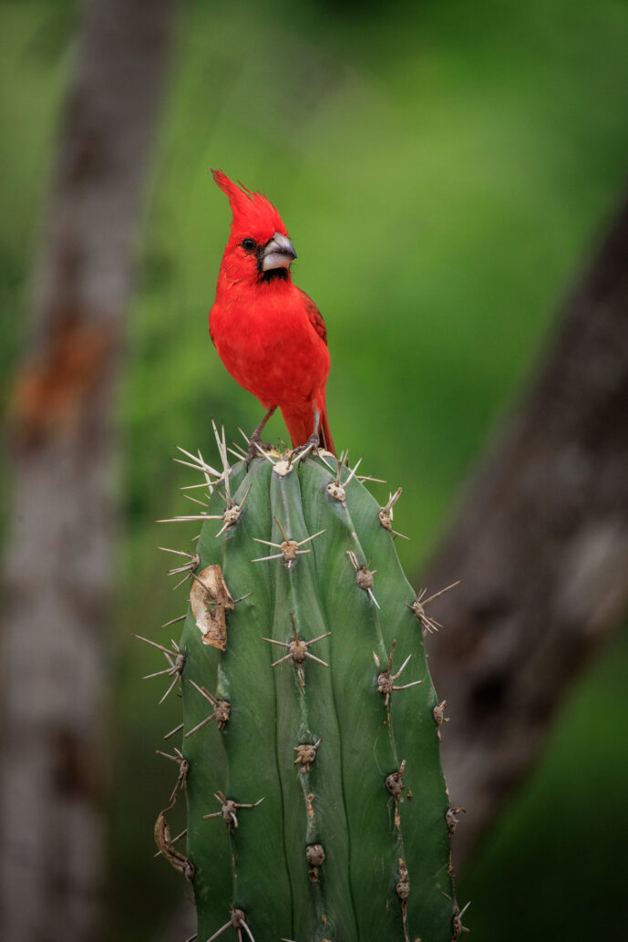 Boca de Camarones Guajira Colombia