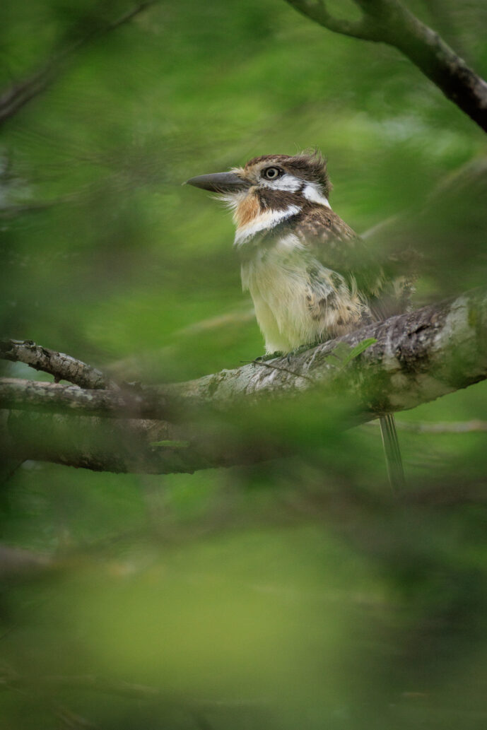 Boca de Camarones Guajira Colombia