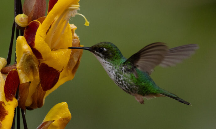 km18 Valle Del Cauca Colombia