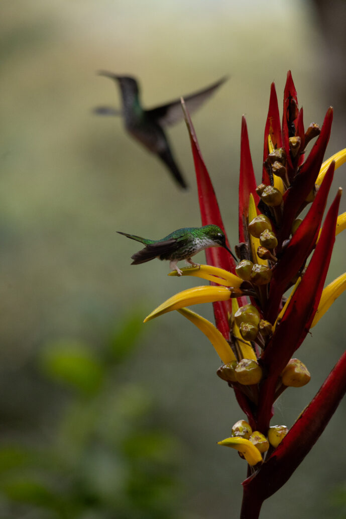 km18 Valle Del Cauca Colombia
