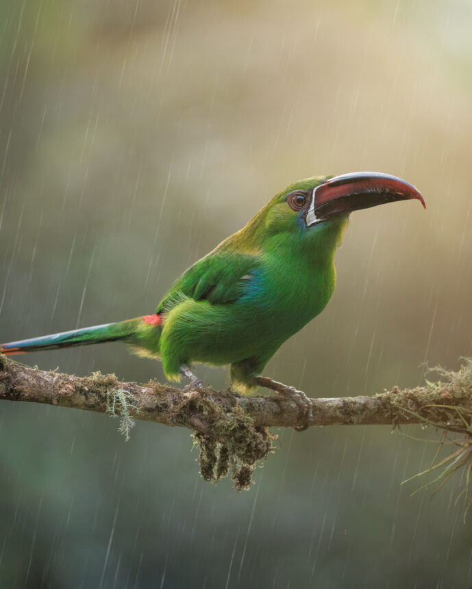 km18 Valle Del Cauca Colombia