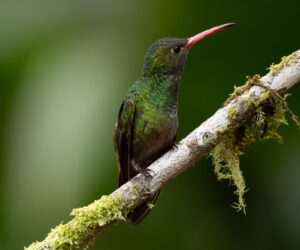 km18 Valle Del Cauca Colombia