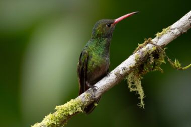 km18 Valle Del Cauca Colombia