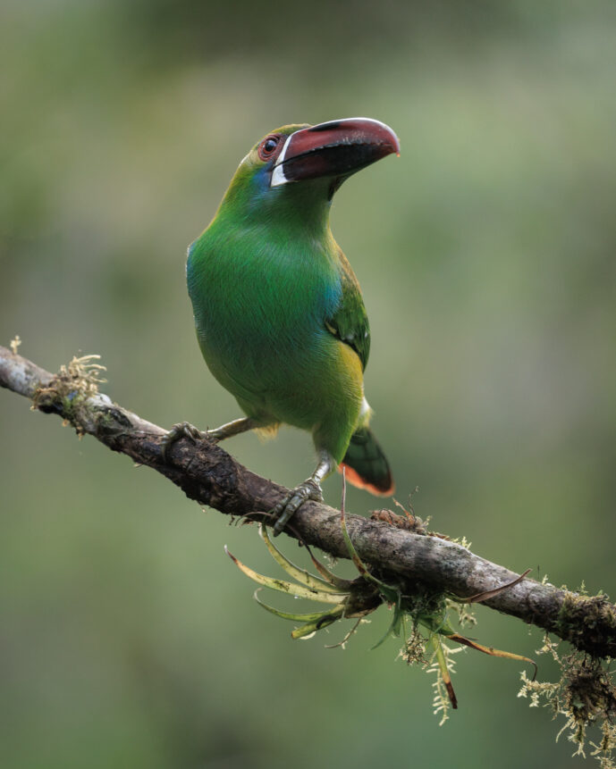 km18 Valle Del Cauca Colombia