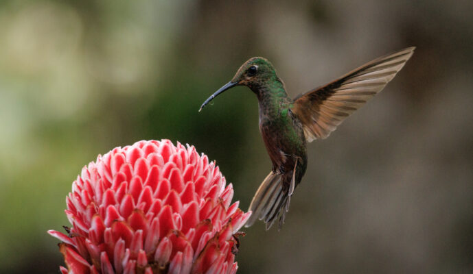 km18 Valle Del Cauca Colombia