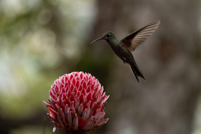 km18 Valle Del Cauca Colombia