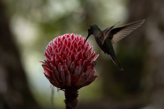 km18 Valle Del Cauca Colombia