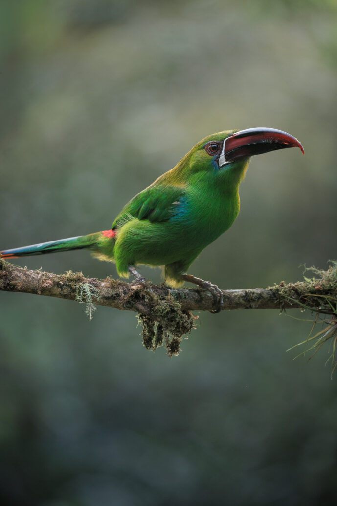 km18 Valle Del Cauca Colombia