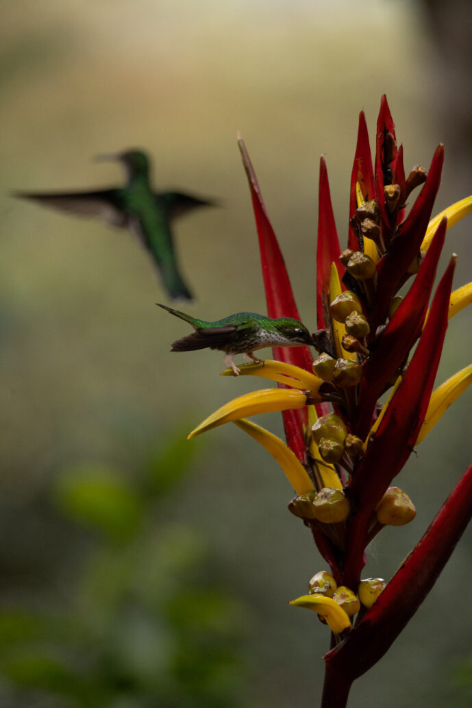 km18 Valle Del Cauca Colombia
