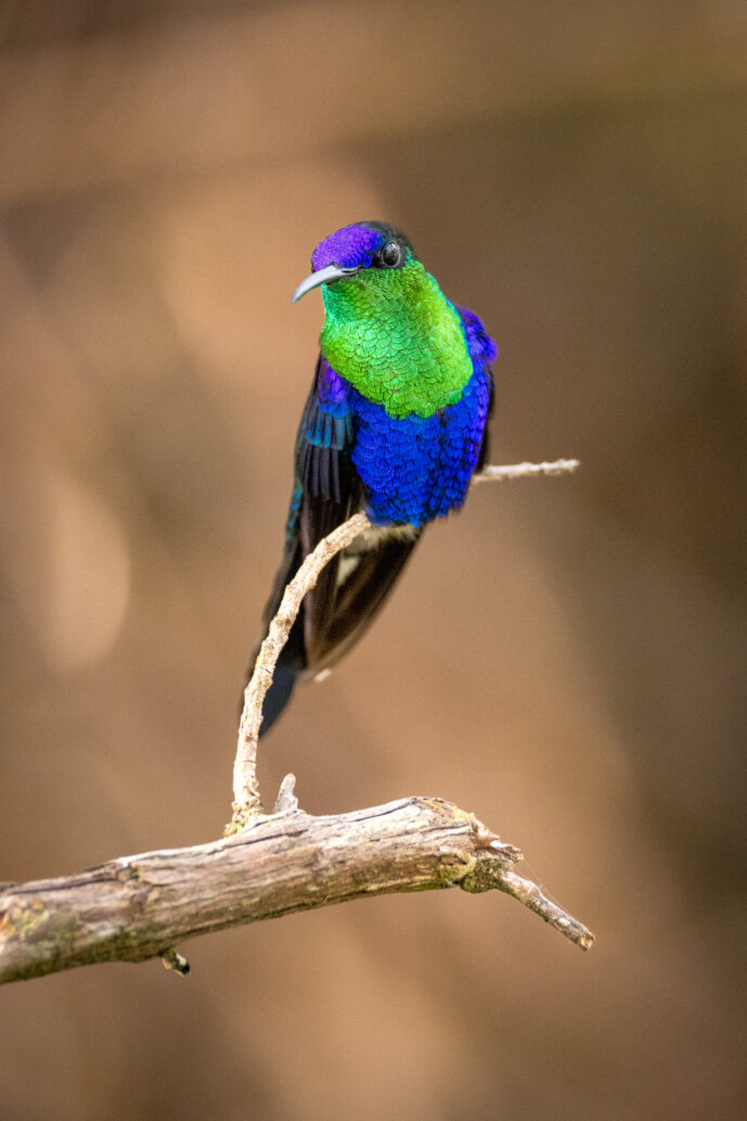 Cerro Kennedy Magdalena Colombia
