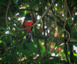 Cerro Kennedy Magdalena Colombia