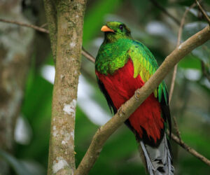 Cerro Kennedy Magdalena Colombia