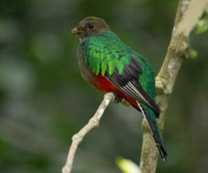 Cerro Kennedy Magdalena Colombia